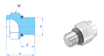 Hex Head Plug SAE / MS