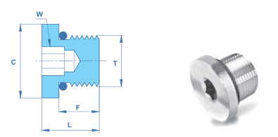 Hollow Hex Plugs SAE / MS