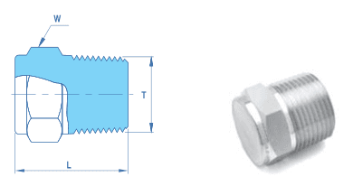 Pipe Plug NPT